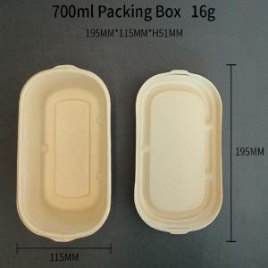 To-Go Box 700ml  Eco-Friendly Biodegradable
