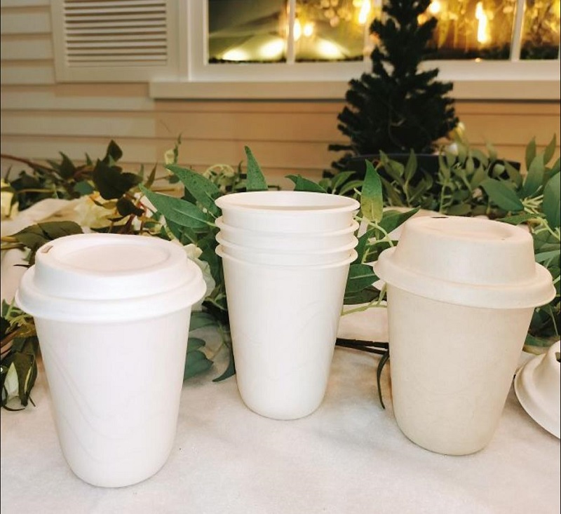 8OZ Cup -Compostable Sugarcane cup