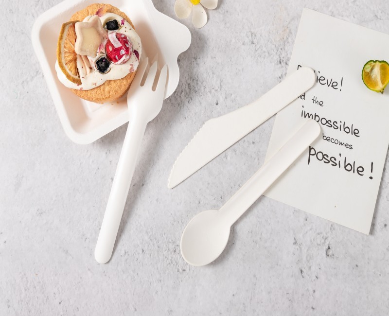 Ice Cream Spoon(Individual package) -Compostable Sugarcane Spoon