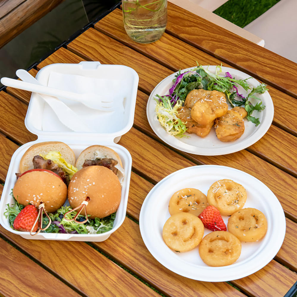 Bio-degradable Bagasse Burger Lunch Box 6 inch Sugar Cane Box