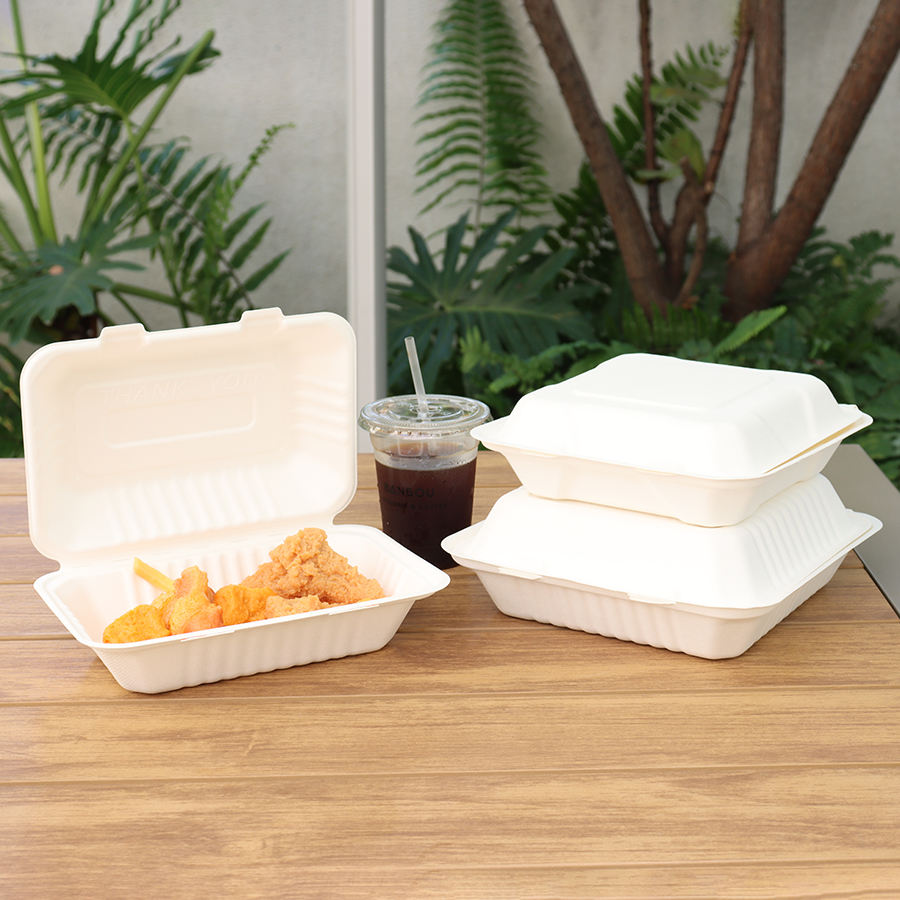 Bio-degradable Bagasse Bento Box Sugar Cane Box