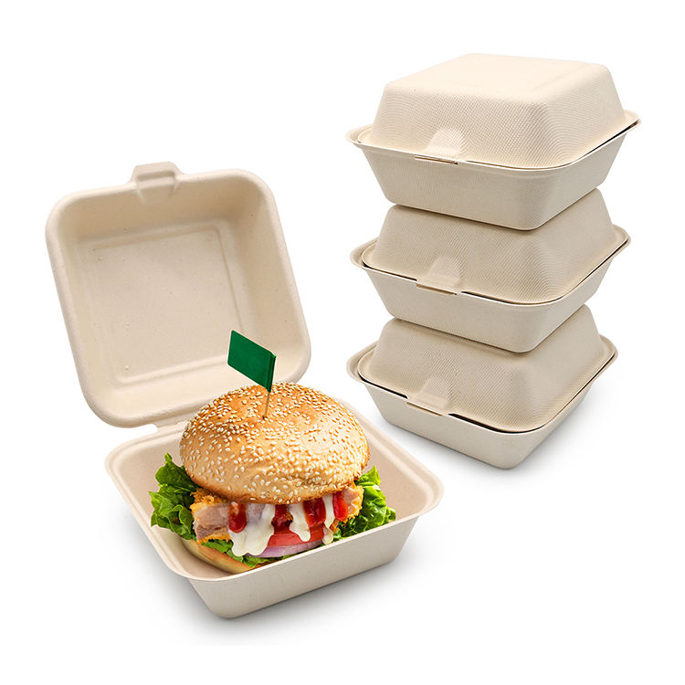 6 7 8 Inch Sugarcane Bagasse Pulp Disposable Biodegradable Brown Lunch Food Container