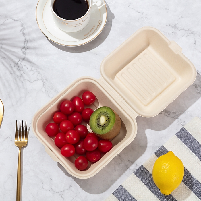 Disposable Eco Friendly Biodegradable Portable sugarcane tableware for Food Containers Lunch Meal Bagasse Box