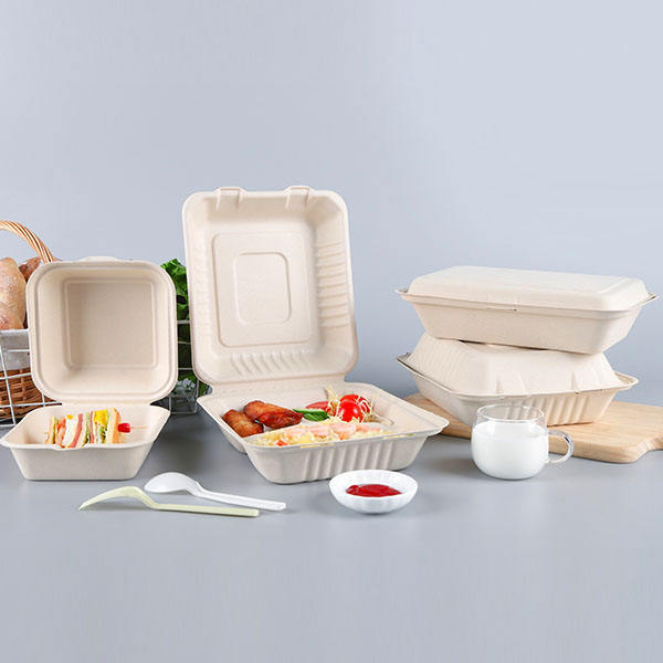 Biodegradable container food takeaway packaging Sugarcane bagasse pulp paper lunch box