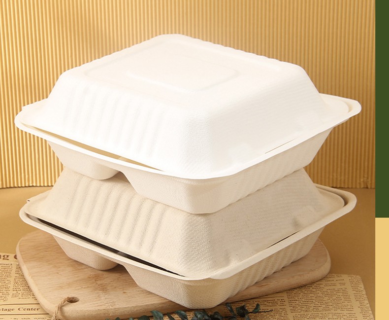 Biodegradable container food takeaway packaging Sugarcane bagasse pulp paper lunch box
