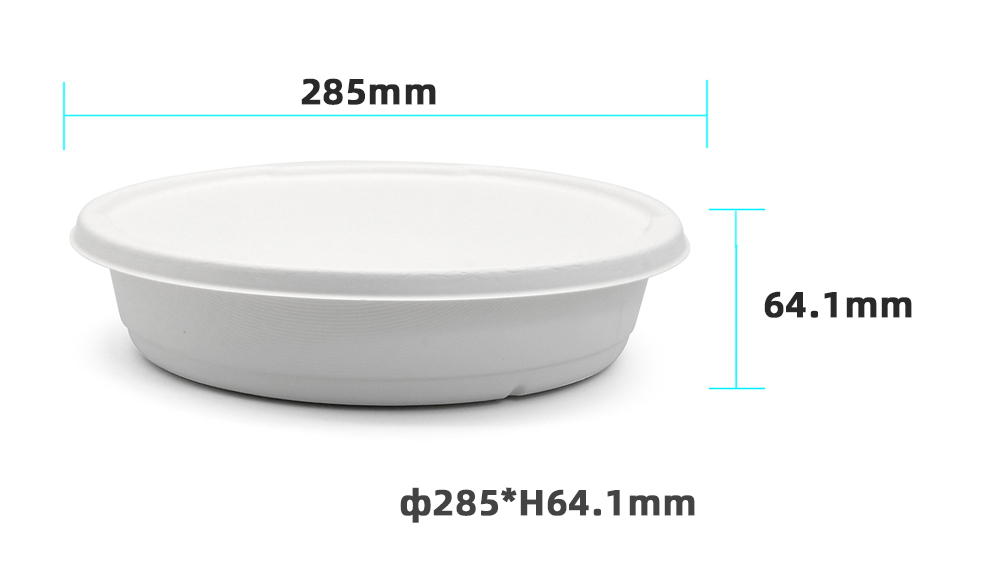 Biodegradable Compostable and Disposable Natural Pulp Food Packaging Bagasse Container