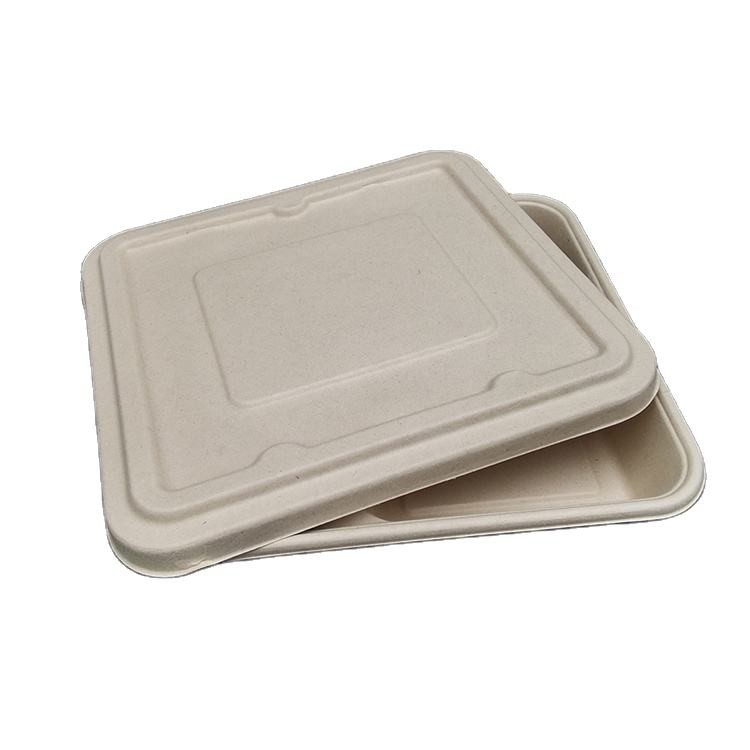 4 Compartment customized 100% biodegradable bagasse food takeout box container