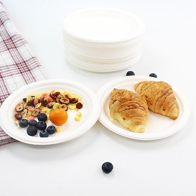 sugarcane bagasse food packaging compostable disposable dinner plates