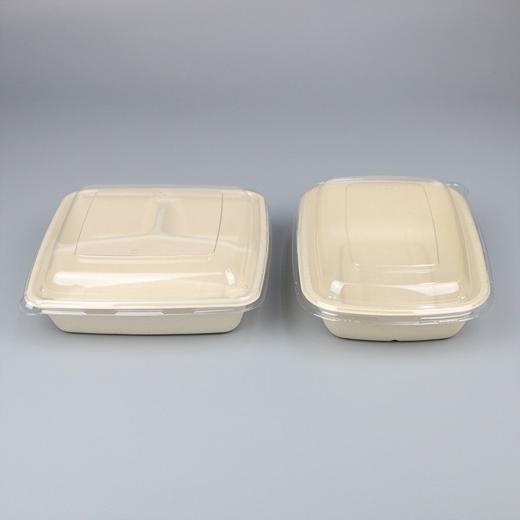Sugarcane Bagasse Pulp Disposable Lunch Container Tray Box with PLA PET Transparent Clear Lid