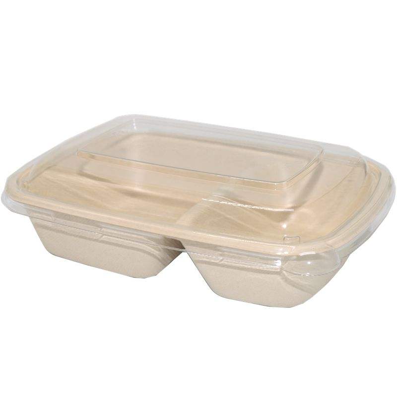 Disposable Biodegradable Bento Takeaway To Go Box Bagasse Sugarcane Takeaway Food Containers Pulp Lunch Box With Lid