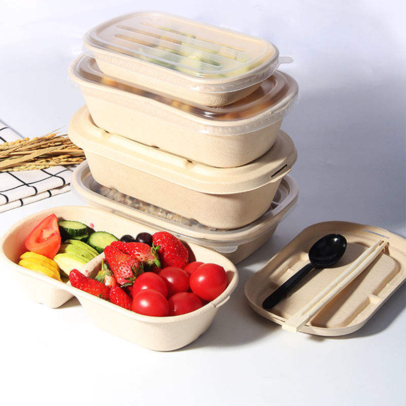 Biodegradable Compostable and Disposable Natural Pulp Food Packaging Bagasse Container 