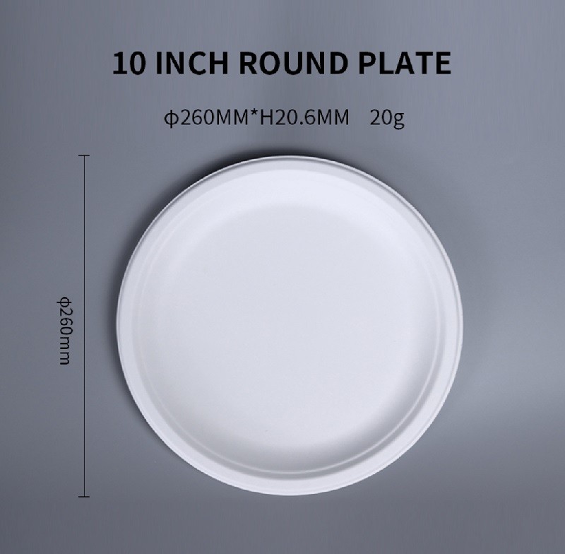  10 inch Round Plate  Compostable Sugarcane