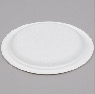 7inch Round Plate Compostable Sugarcane