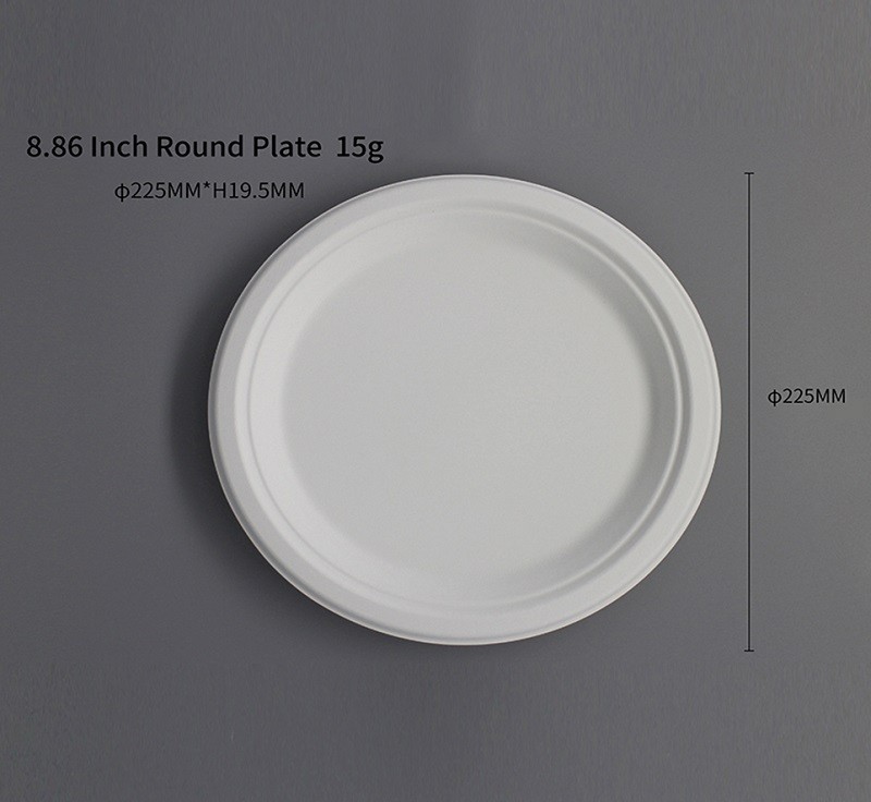  9  inch Round Plate  Compostable Sugarcane