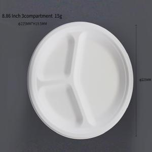  9 inch Compartment Plate  Compostable Sugarcane