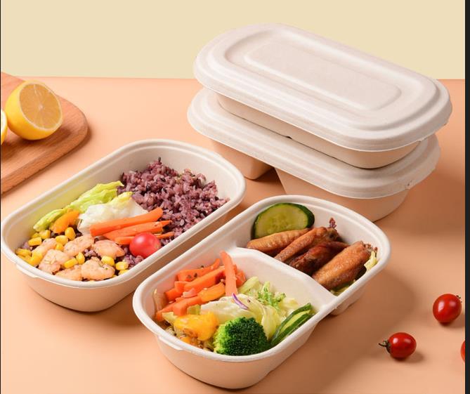  To-Go 2 Compartments 750ml Box EcoChoice Compostable Sugarcane